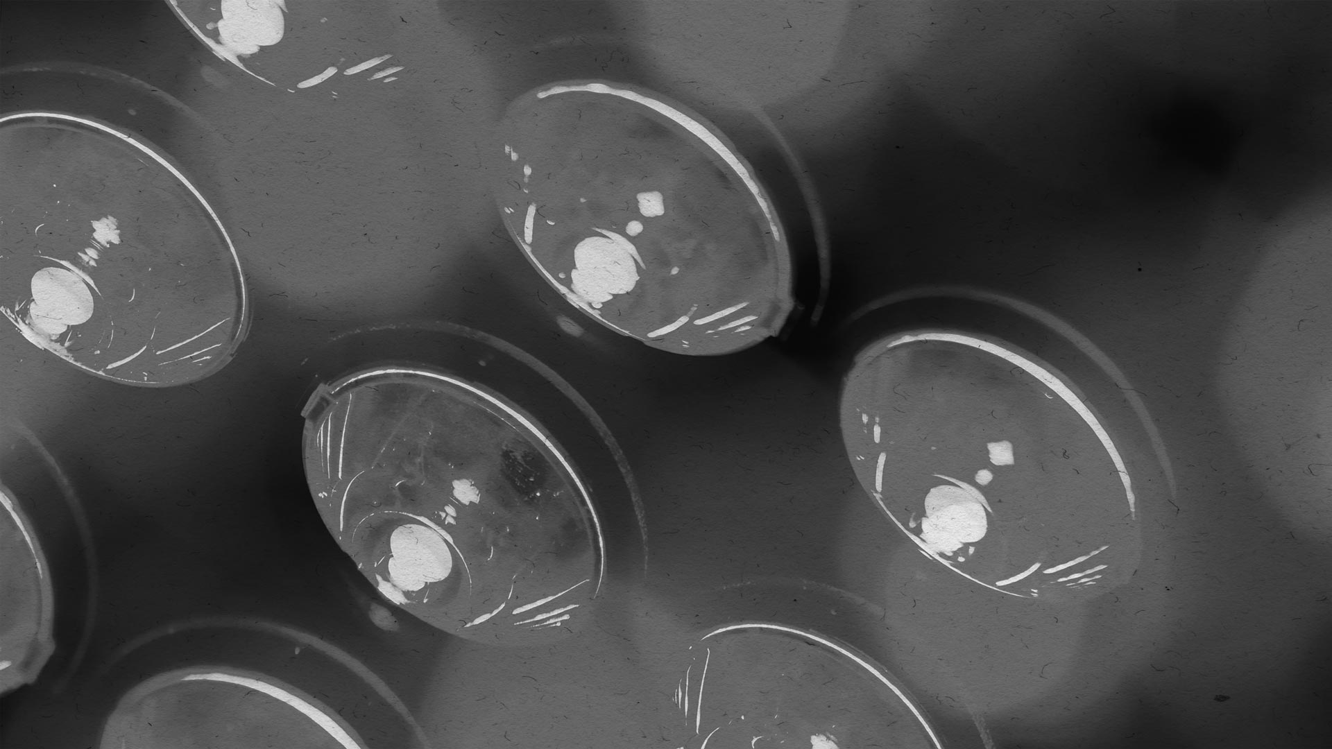 Close-up view of Round Light Sockets.